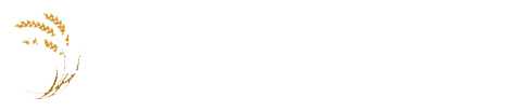 Malt cafe ノート