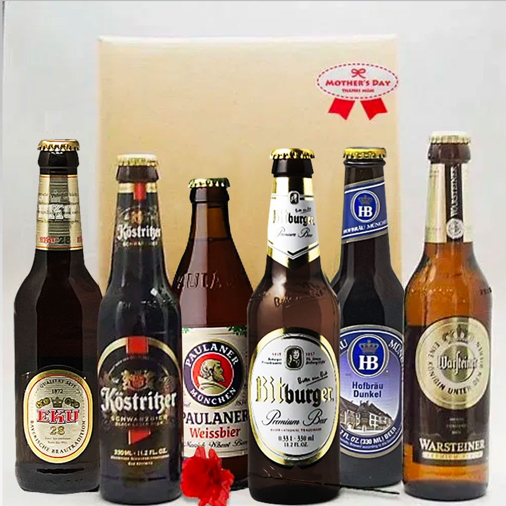 【母の日ギフト】人気ドイツビール6種 6本セット