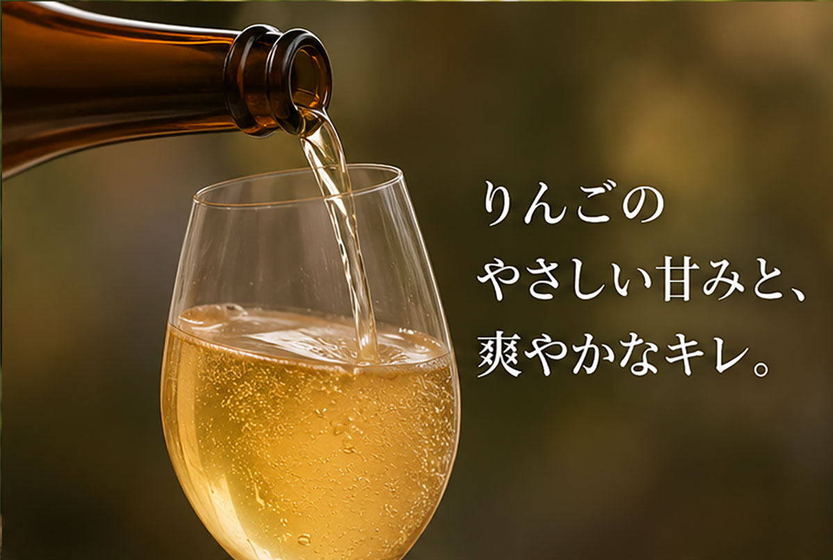 フランス産シードル シードル・ヴァルドランス・ブルトン ドゥー（甘口）250ml
