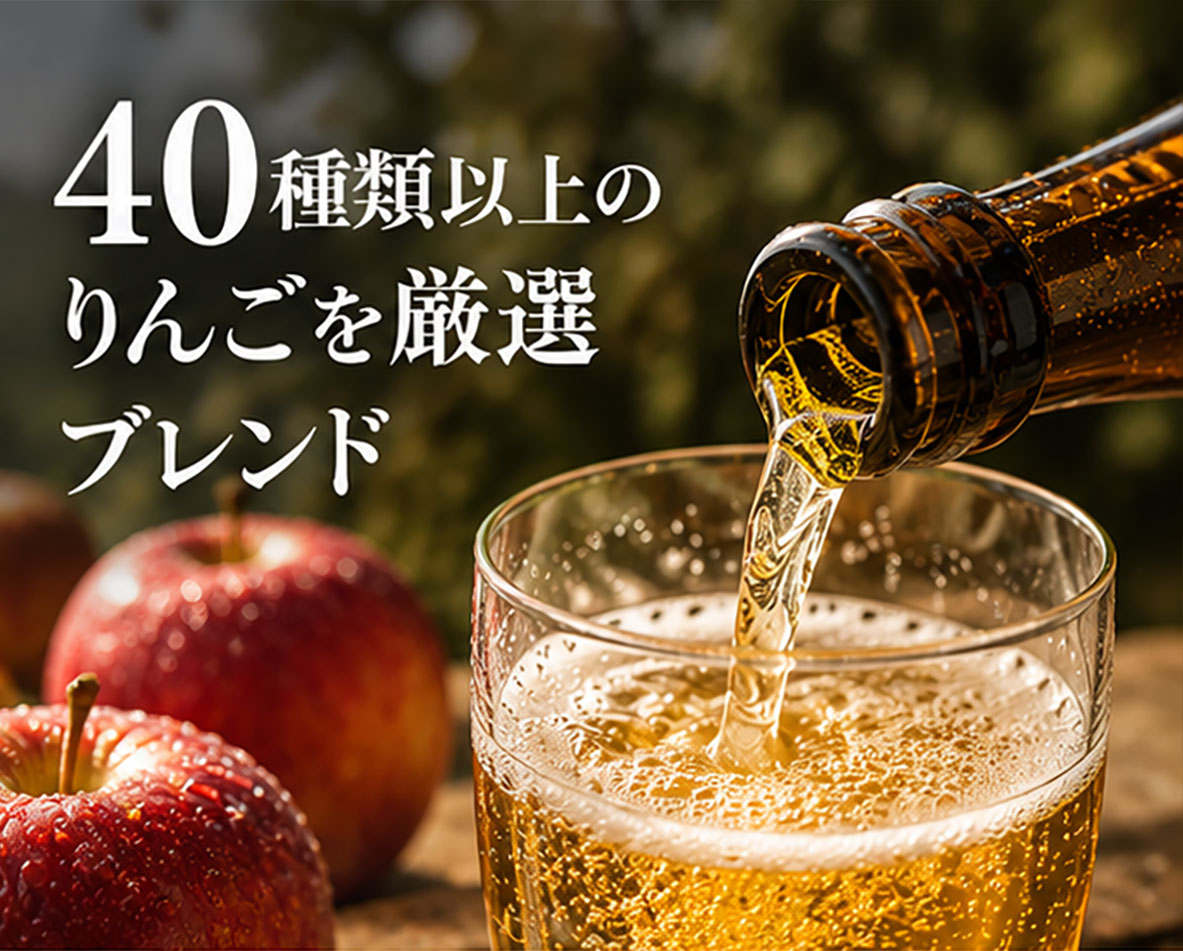 フランス産シードルギフトセット シードル・ヴァルドランス250ml 甘口・辛口・中辛口 3種 6本 飲み比べセット