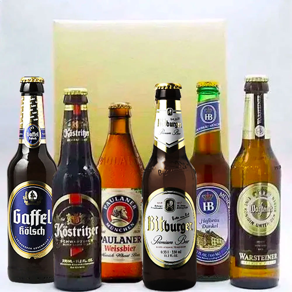 ★お歳暮ギフト★人気ドイツビール6種 6本セット【即日発送可】