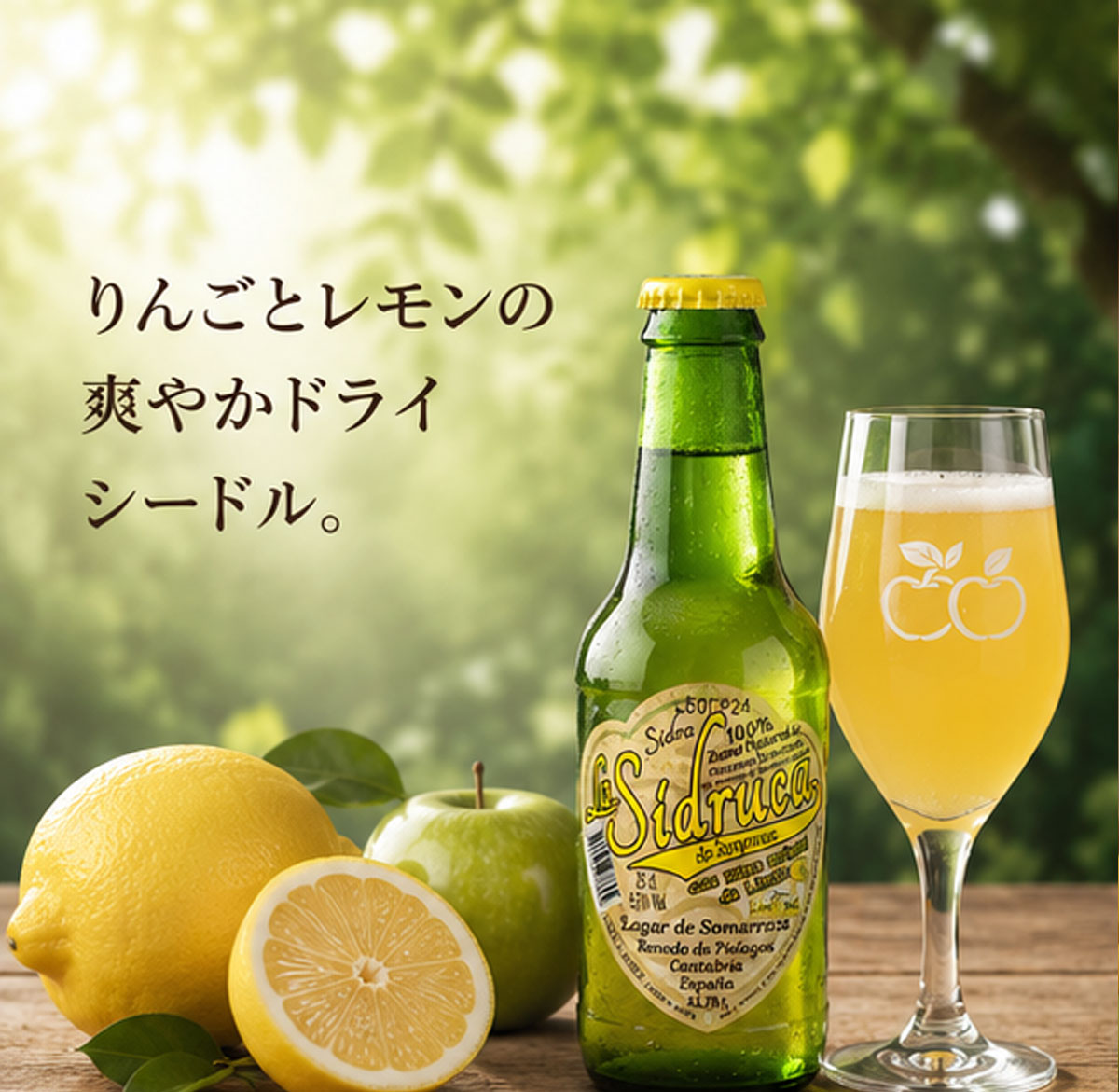 スペイン産シードル シドルカレモン250ml 5.0%