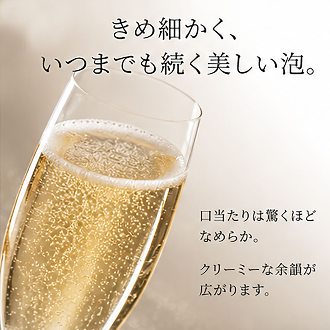【イタリア産ワイン】アルメリータ ブリュット スパークリングワイン レガレアーリ
