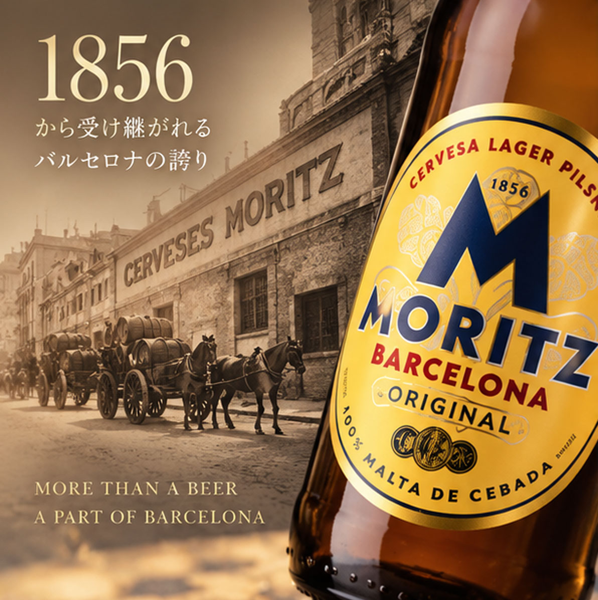 【スペインビール】モリッツ330mL